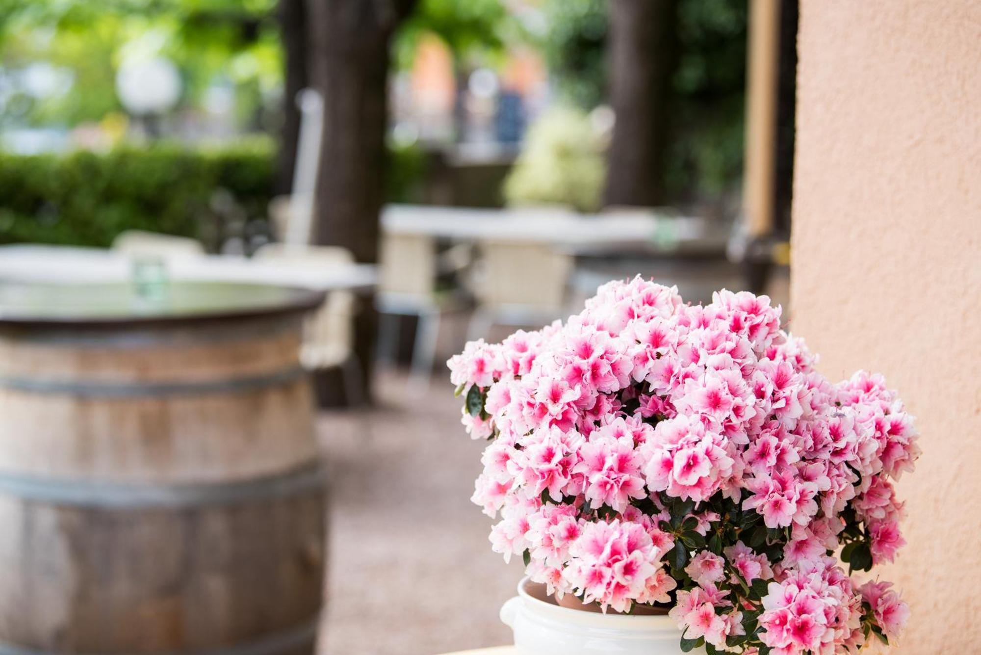 Albergo Hotel Tesserete Εξωτερικό φωτογραφία